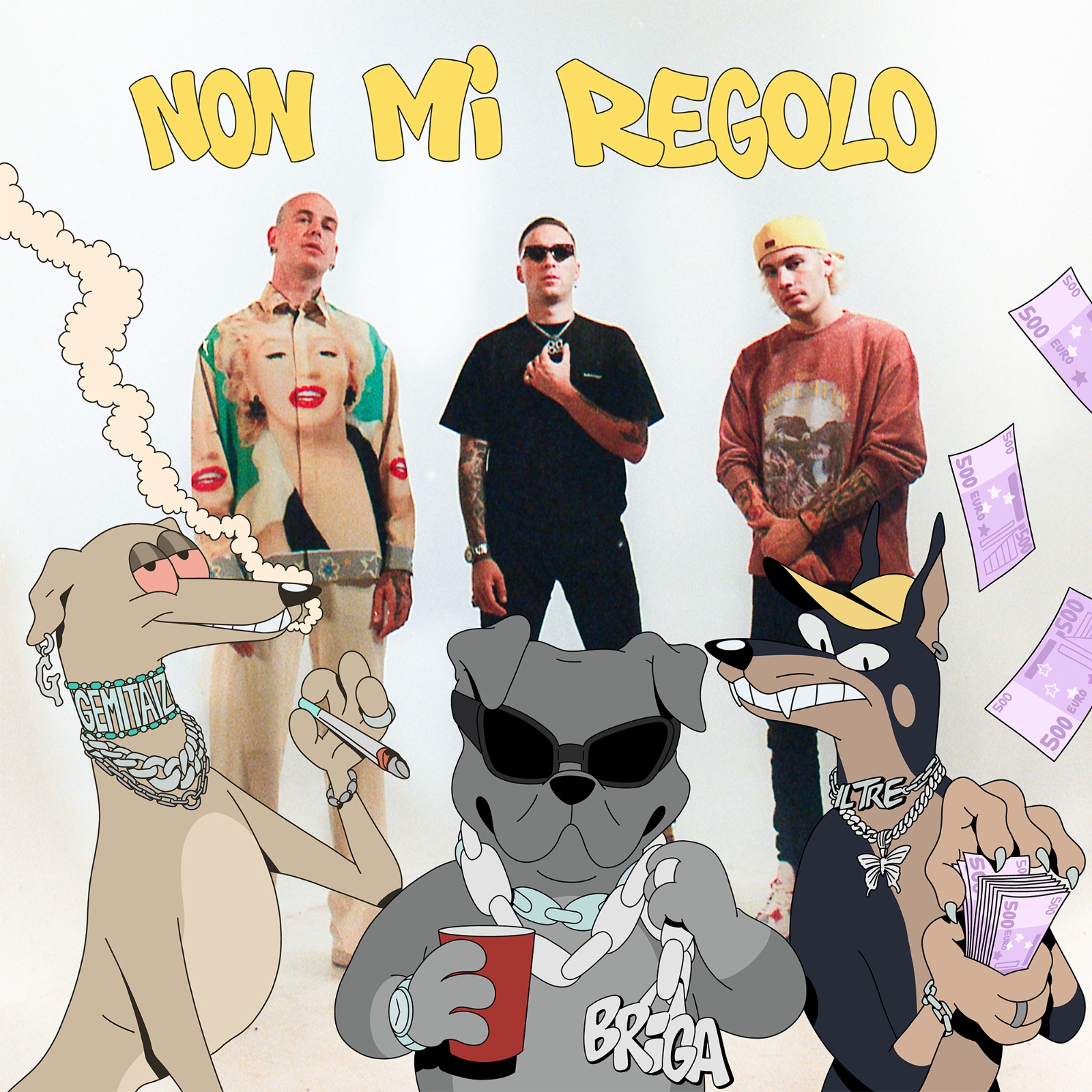 non-mi-regolo